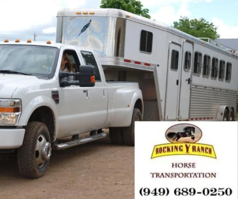 Nationwide & California Horse Transport: Safe, Reliable, and Affordable | Rocking Y Ranch