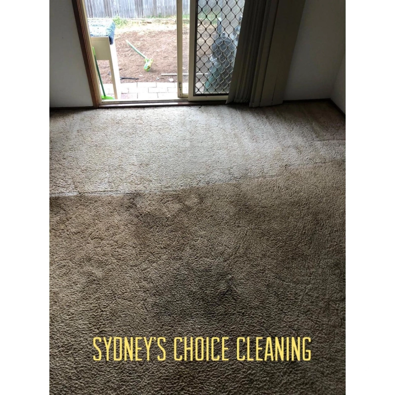 Top Mistakes Homeowners Make When Cleaning Their Carpets