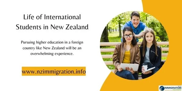 How is the Life of International Students in New Zealand?