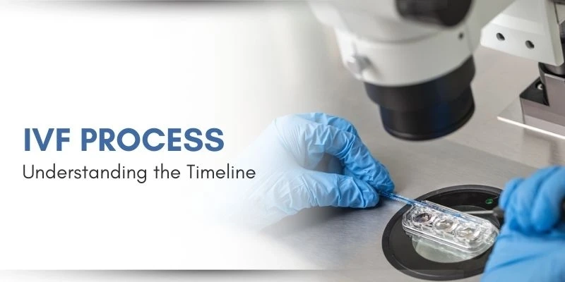 Understanding the IVF Process Timeline Briefly