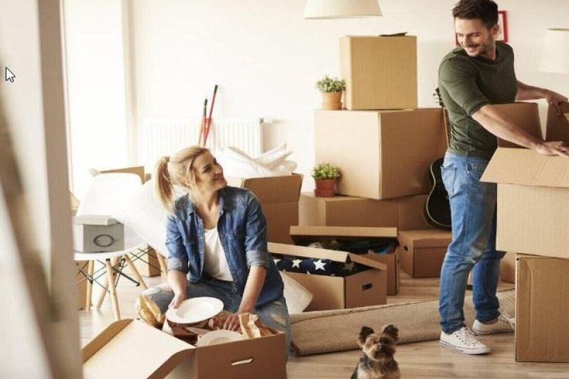 How Do I Select the Right Moving Company for the Apartment Relocate?