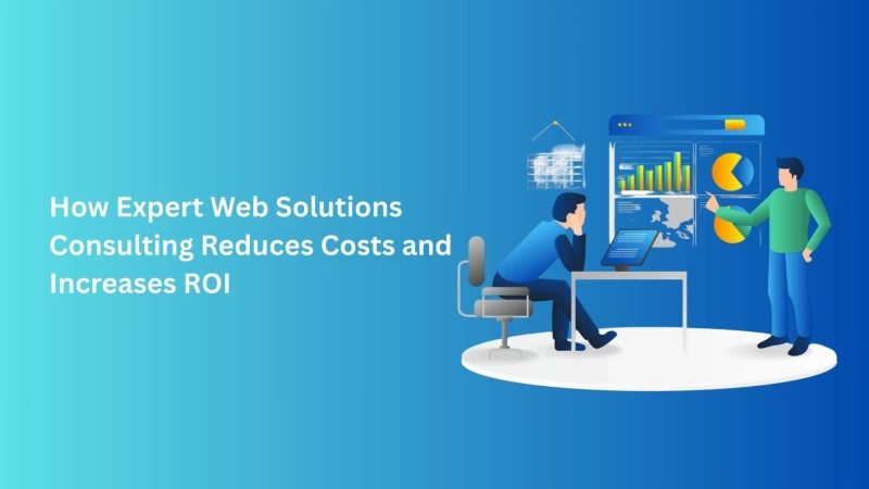 How Expert Web Solutions Consulting Reduces Costs and Increases ROI