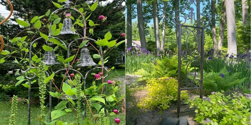 Growing Morning Glories on a Trellis [It’s Easy!]