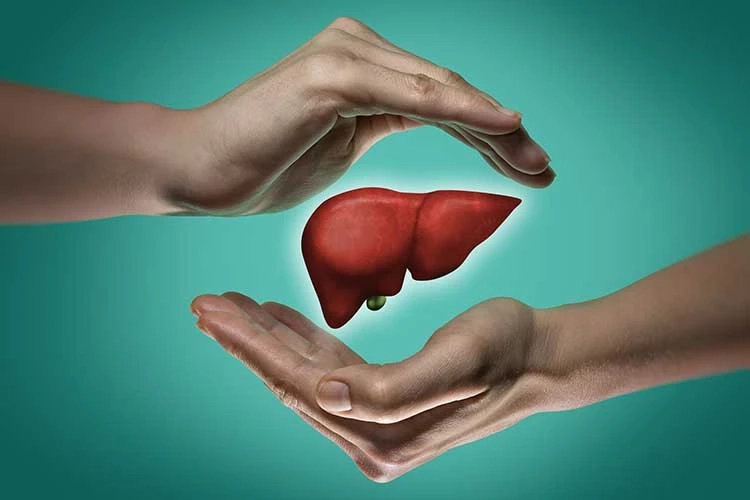 High Alkaline Phosphatase and Other Liver Enzymes | Zyla Health