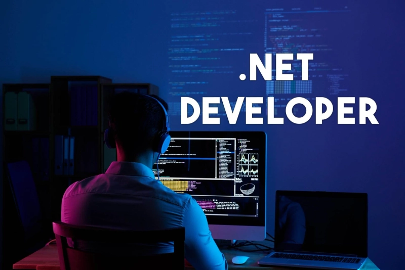 ASP .Net Web Development Services San Diego | SynergyTop