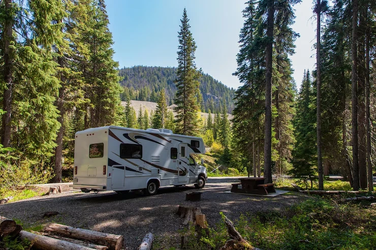 Why a Renovated RV for Sale Might Be Your Perfect Home on the Road