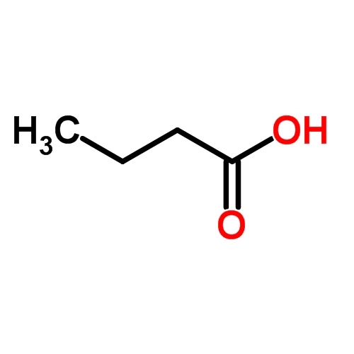 Dietary Fiber Is Broken Down By The Good Bacteria In Your Gut To Produce Butyric Acid
