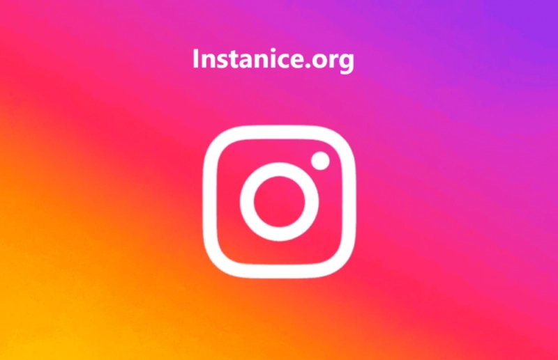 Insta Nice vs. Standard Instagram: Key Differences You Need to Know