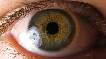 Regenerative Therapy for Retinal Issues