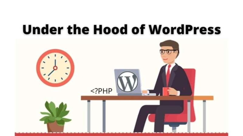 Ultimate Beginner’s Guide to WordPress Website Maintenance and Support