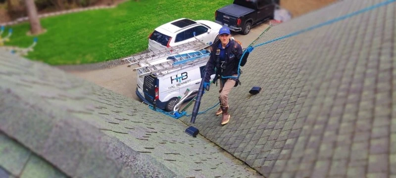 Protect Your Roof: The Importance of Professional Roof Cleaning and Moss Removal Services