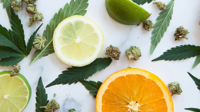 How to Incorporate Medical Marijuana Into Your Creative Time