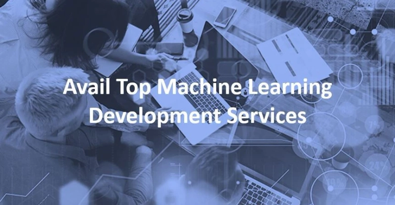 The Ins and Outs of Machine Learning Development