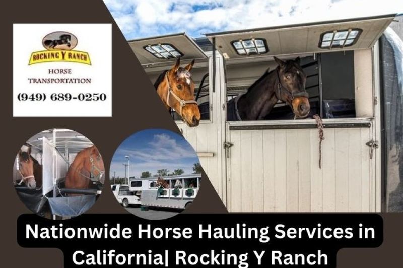 Safe and Reliable Horse Transport Across California and Nationwide