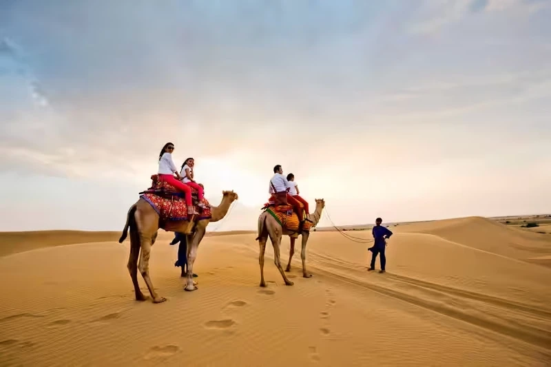 Travel the Thar Sands with Authentic Camel Experiences