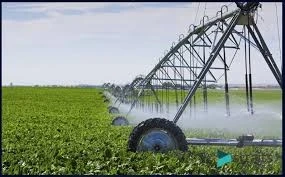 Mechanized Irrigation Systems Market: Size, Share, and Forecast (2024-2033)