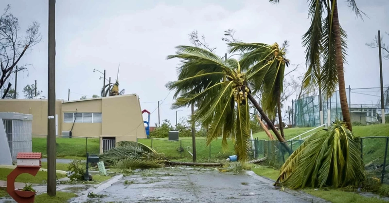 What can I Know About A Public Adjuster in Miami?