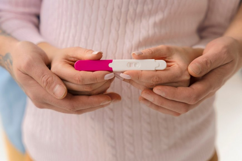 Decoding Egg Donation: Process, Cost, and Success Rates