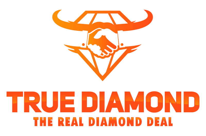 True Diamond: New York SEO Services | NYC SEO & Long Island SEO Company
