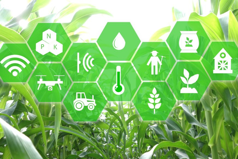 How Generative AI Revolutionizes Agriculture: A Comprehensive Farmer's Guide