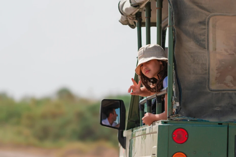 Simple Look At What Makes A Safari Trip Special