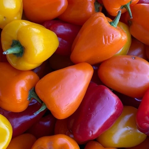 How to Buy Wholesale Fruits and Vegetables for Business Buyers