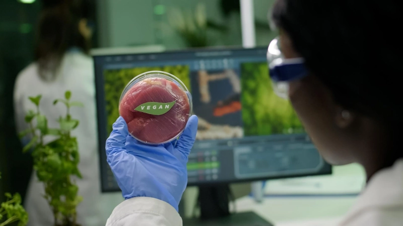 Cancer Biomarkers Market Insights: Innovation, Demand Drivers & Industry Outlook