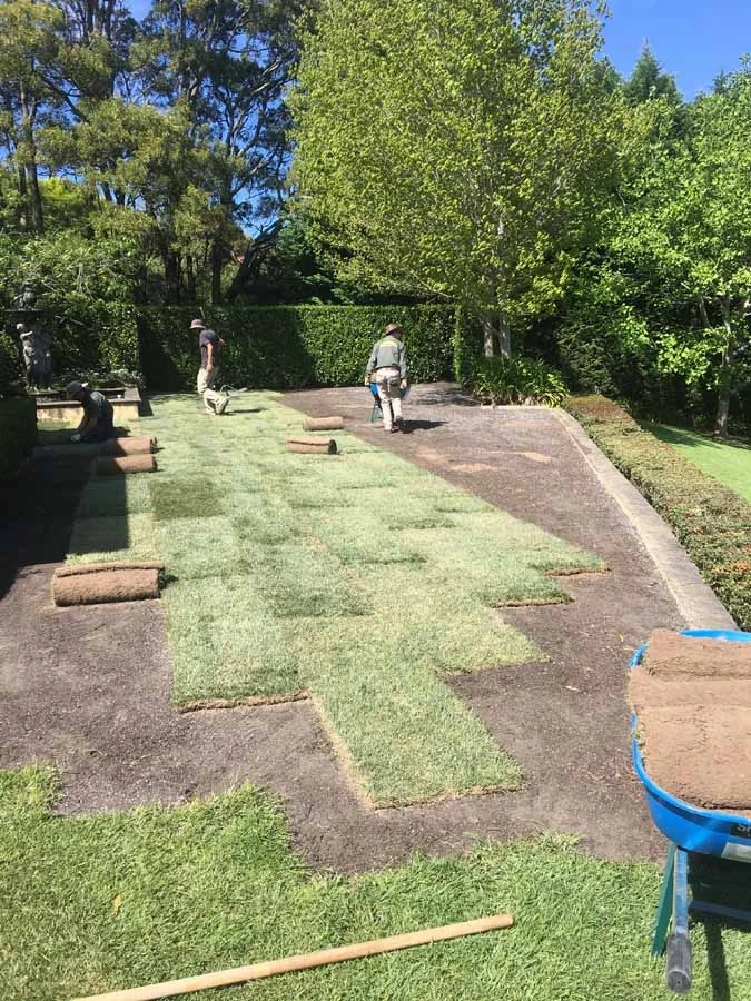 Top 4 Reasons to Hire Garden Maintenance Services in Wilton