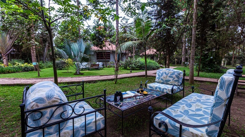 African Big Five Luxury Safari: A Complete Guide for First-Time Travelers