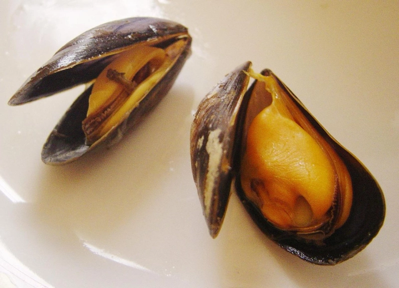 Improving your Cholesterol with Shellfish