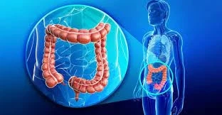 Gastrointestinal Electrocardiograph Market The Growth Of The Market Over 2030 | GET FLAT 20% OFF ON