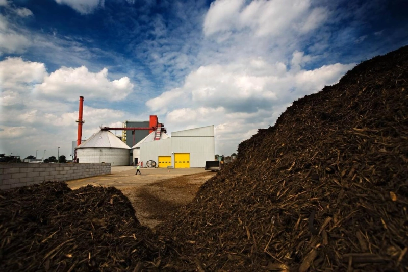 Biomethane Market Price and Forecast 2024- 2029