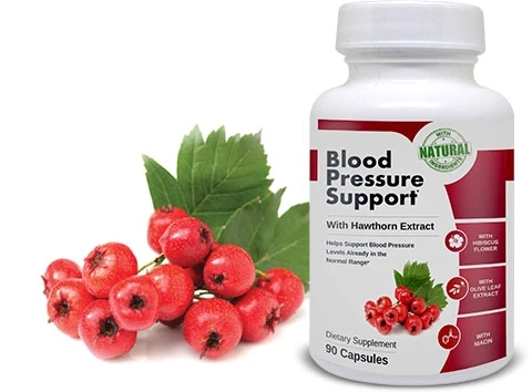 The Cardiovascular System and How it is Affected by High Blood Pressure