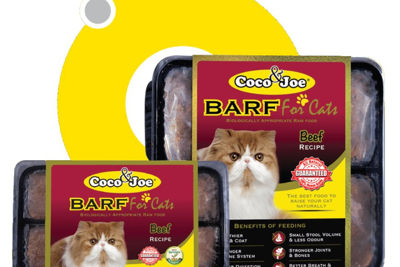 Wet Food for Every Meow: A Buyer's Guide for Cat Parents
