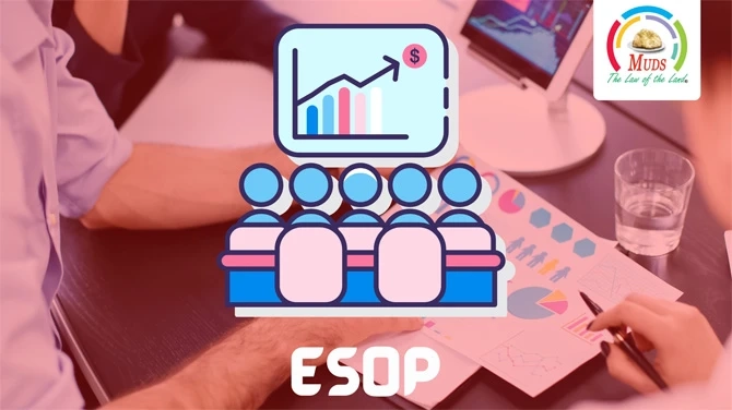 How an Esop For Private Companies Works?
