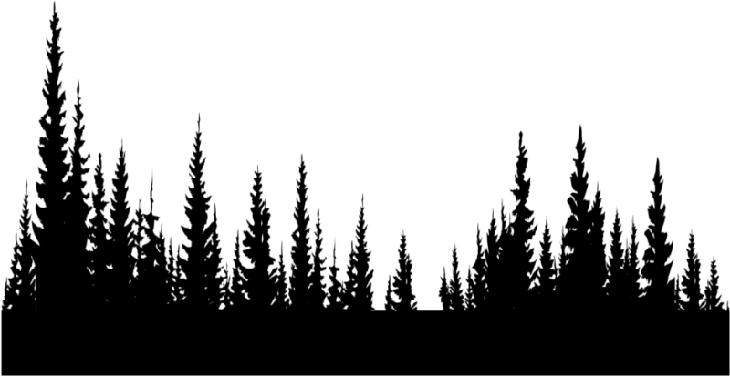 Kraken Support ℗ +1(800) 961-9848 ℗ Phone Number