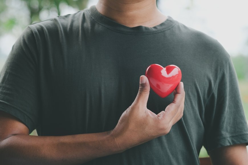 Beating for Life : Understanding Cardiovascular Wellness