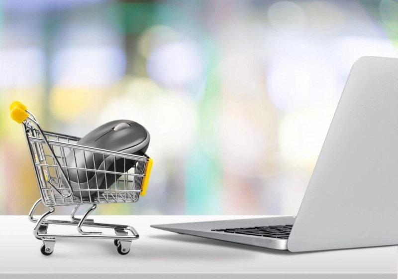 Purchasing a Pre-Built Online Store!