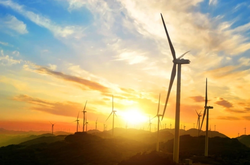 Succeeding in the Renewable Energy industry: 5 Potential Ways