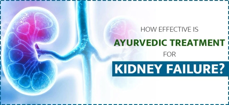 How effective is Ayurvedic treatment for kidney failure?