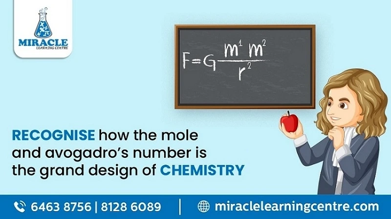 The Mysteries of Mole and Avogadro\'s Number