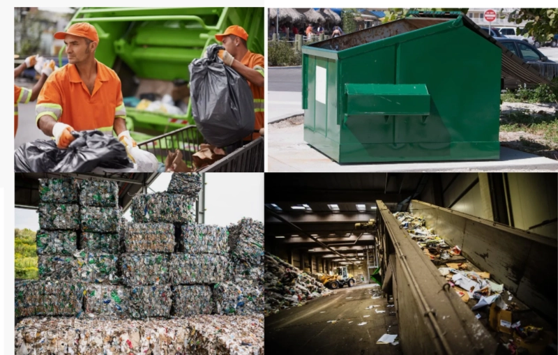 When and How Often Should Businesses Schedule Bulk Waste Collection?