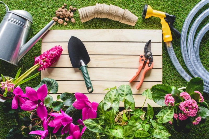 Gardening 101: Tips for a Thriving Home Garden