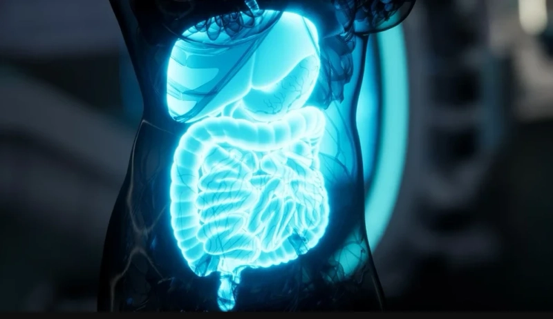 10 Signs of an Unhealthy Gut: Warning Signals You Can’t Ignore