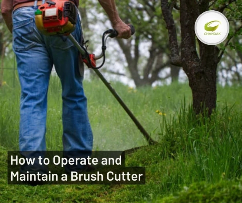 How to Safely Operate and Maintain a Brush Cutter