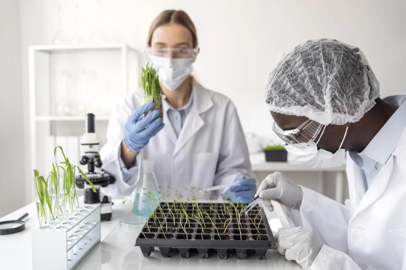 Why Fertilizer Testing is Essential for Modern Agriculture
