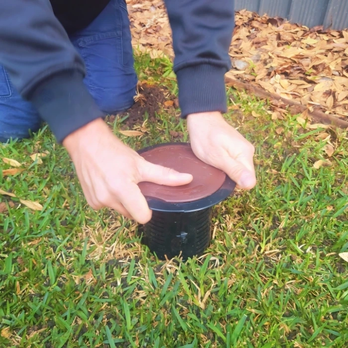 How Termite Bait Stations Can Safeguard Your Home