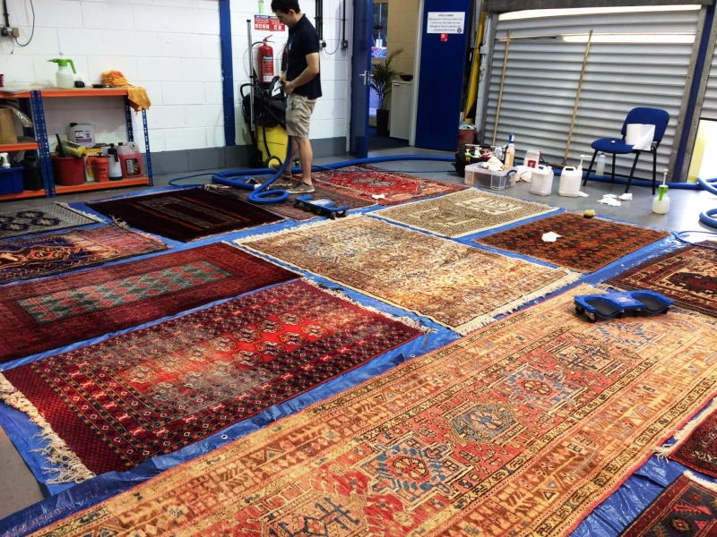 Do Medical Facilities Recommend Carpets?