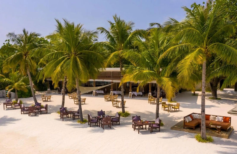 Top Maldives Beach Restaurants for Fine Dining and Seafood