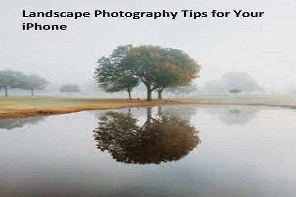Amazing Landscape Photography Tips for Your iPhone